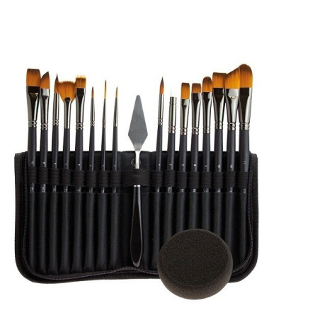 Set 15 pensule DACO Clarity + pensulă silicon și husă