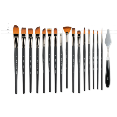 Set 15 pensule DACO Clarity + pensulă silicon și husă