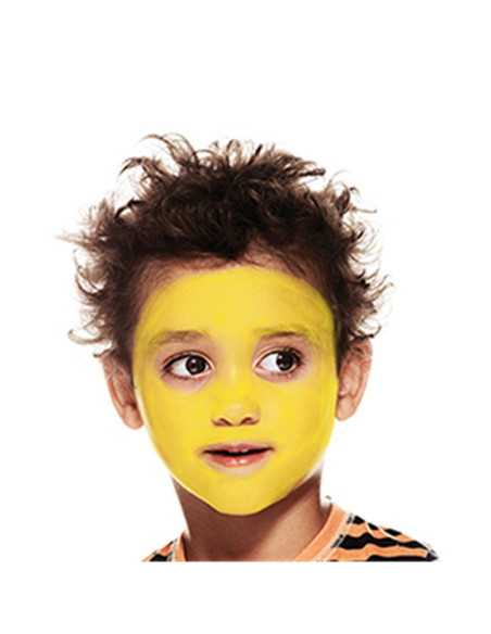 Set pictura pe fata Tiger Snazaroo