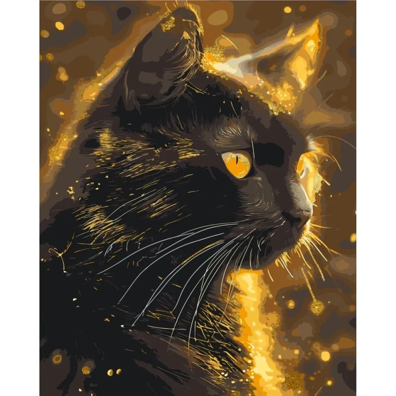 Pictura pe numere 40x50 cm, pisica neagra (...