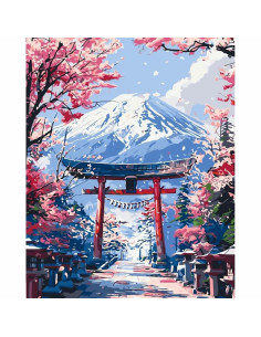 Pictura pe numere 40x50 cm, peisaj din Japonia