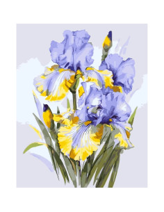Pictura pe numere 40x50 cm, flori albastre