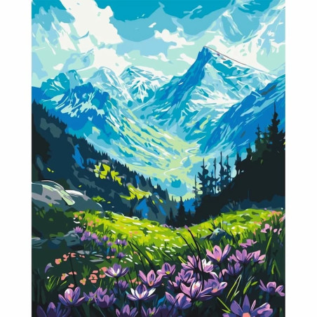 Pictura pe numere 40x50 cm, pajiste cu flori si munte