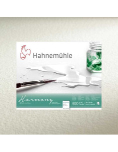 Bloc acuarelă A4 Hahnemühle Harmony 300g/mp 12 file